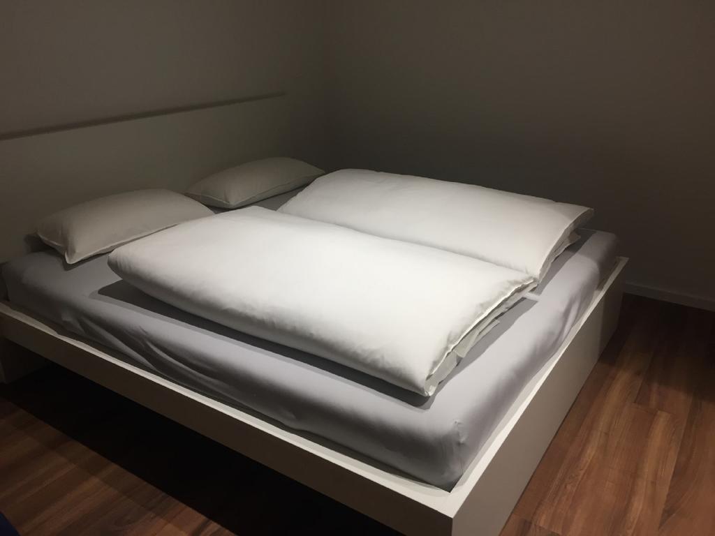 Ferienwohnung Am Herzogspark 레겐스부르크 외부 사진